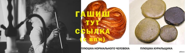 гашик Алексеевка