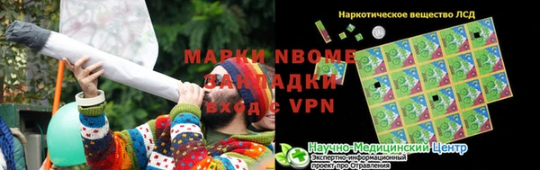 стаф Абаза
