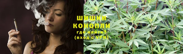 стаф Абаза
