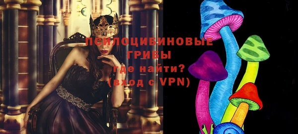 стаф Абаза