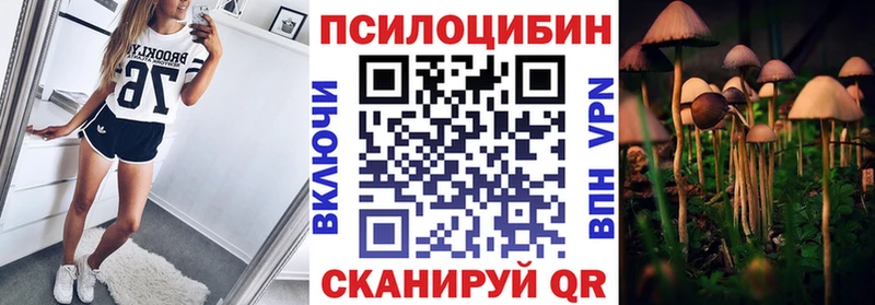 сайты даркнета Telegram наркотики Отрадная Галлюциногенные грибы Psilocybine cubensis